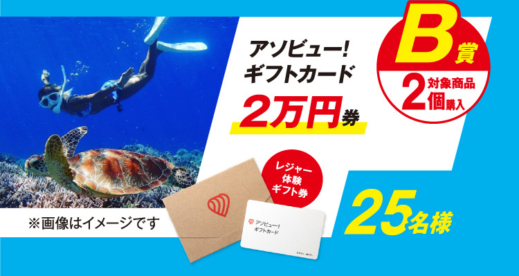 【B賞】対象商品2個購入 アソビュー!ギフトカード2万円券 25名様